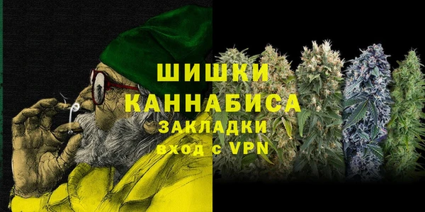 ПСИЛОЦИБИНОВЫЕ ГРИБЫ Верея