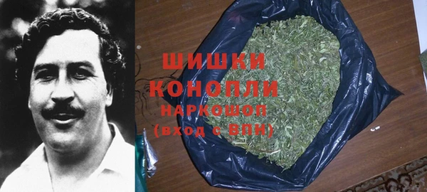 гидропоника Володарск
