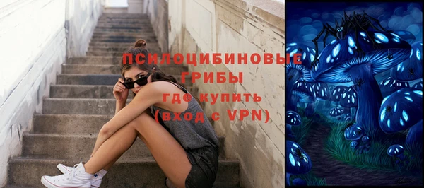 дмт Бородино