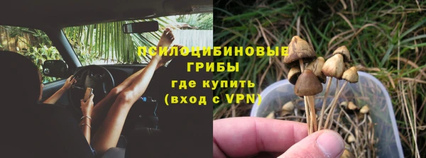 гидра Волосово