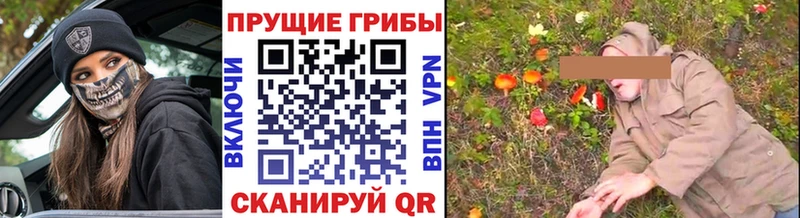 где купить наркотик Перевоз МЕГА как войти Галлюциногенные грибы Cubensis
